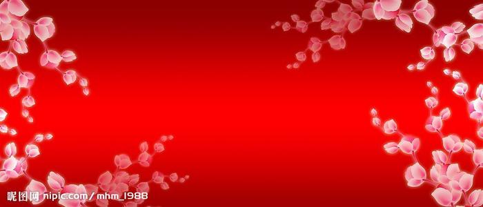 怎么办假波兰身份证
